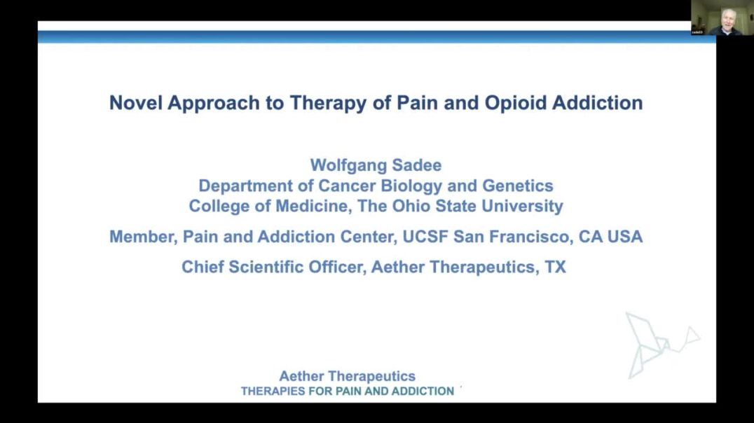 Novel Approach to Therapy of Pain and Opioid Addiction | Wolfgang Sadee