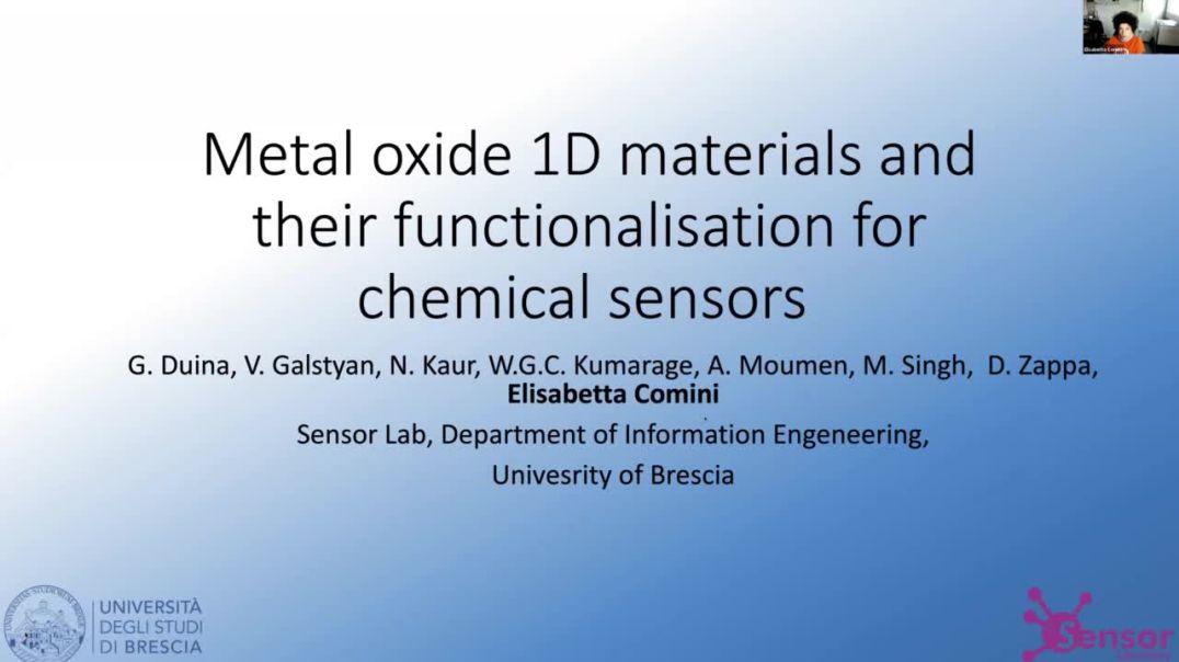 ⁣Metal oxide reactions with chemical sensors | Elisabetta Comini