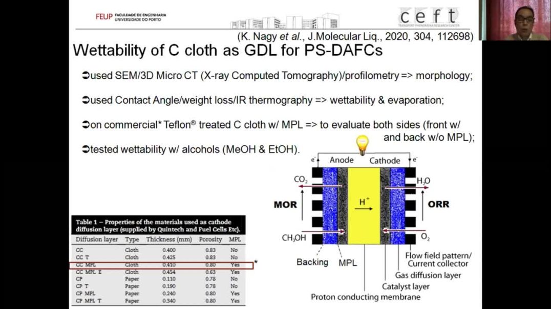 Passive small direct alcohol fuel cells in view of low-power portable applications | Maria Helena