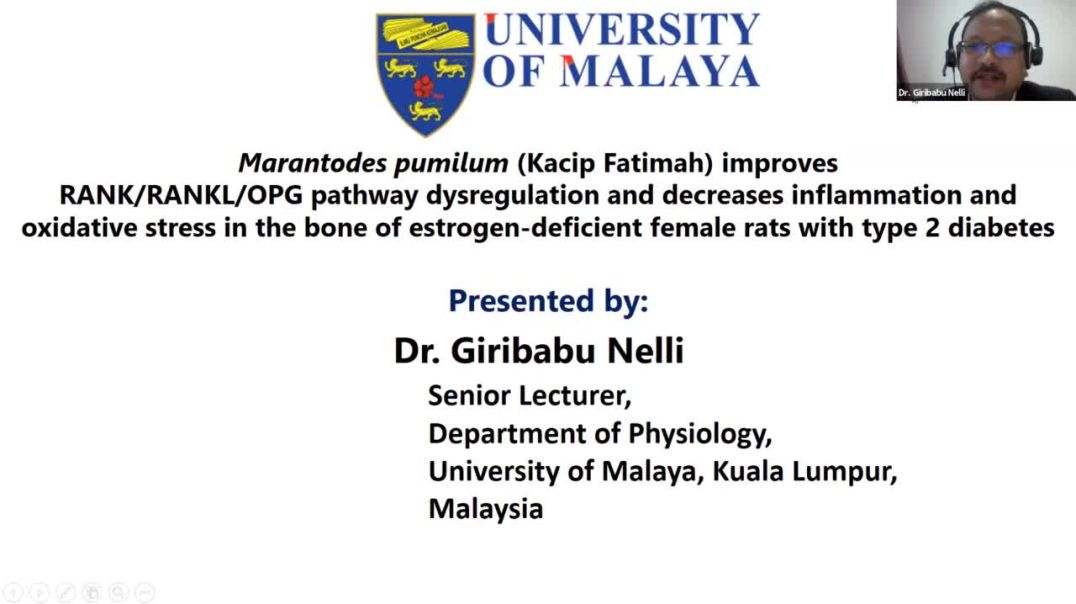 Marantodes pumilum (Kacip Fatimah) improves RANK/ RANKL/OPG pathway | Nelli Giribabu