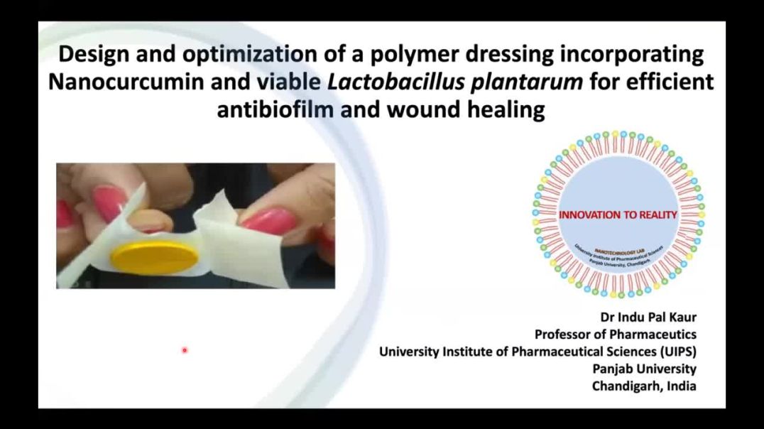 ⁣Design and optimization of a polymer dressing incorporating nanocurcumin | Indu Pal Kaur