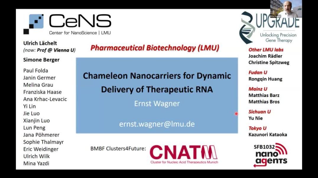 Chameleon Nanocarriers for Dynamic Delivery of Therapeutic RNA | Ernst Wagner